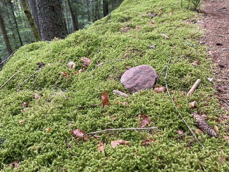 22-05-29 12-01-00 0956.jpg